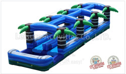 Tropical Double Lane Slip N Slide